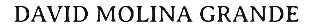 logo David Molina Grande